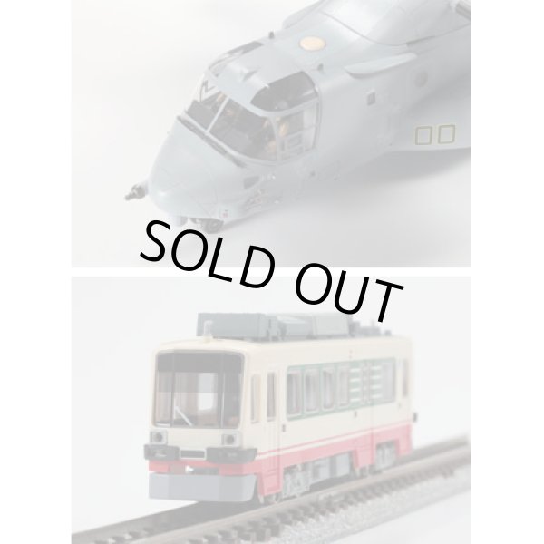 画像3: ハセガワ TF915 クリアースモークフィニッシュ (3)