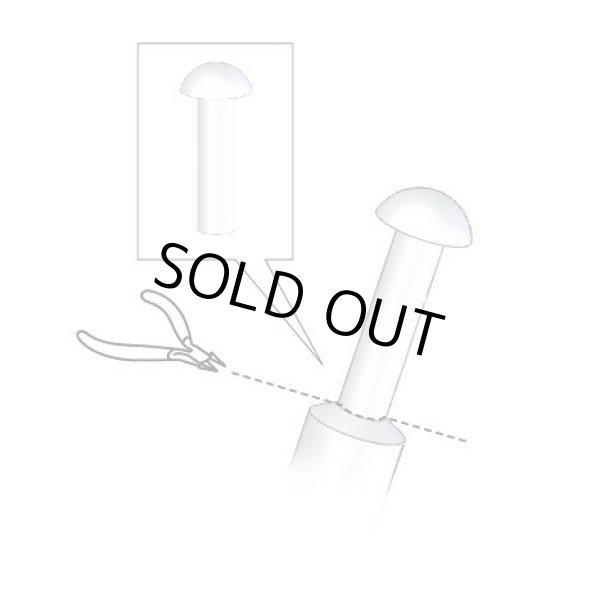 アドラーズネスト リベットヘッド 洋白