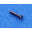 モデルファクトリーヒロ P1060 極小マイナスネジ 0.6φx3mm